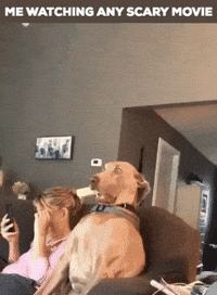 Scary-movie GIFs - Get the best GIF on GIPHY Scary-movie GIFs - Get the best GIF on GIPHY