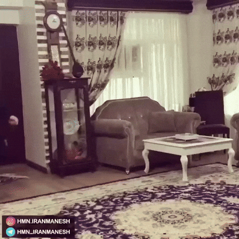 Angry Fun GIF