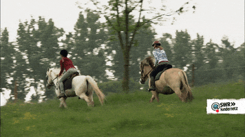 Horse Running GIF by SWR Kindernetz