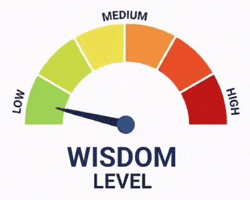 Wisdom Level GIF