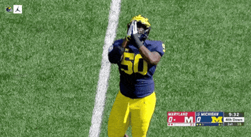 go blue michigan football GIF by Michigan Athletics