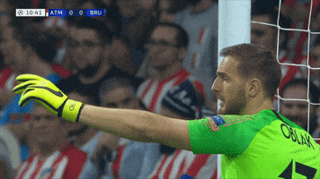 move along over there GIF by Atlético de Madrid
