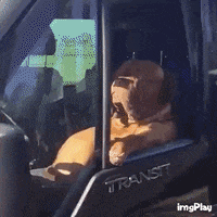 cool dog mean muggin GIF by Rover.com