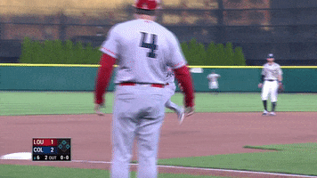 salute batsbaseball GIF by Louisville Bats
