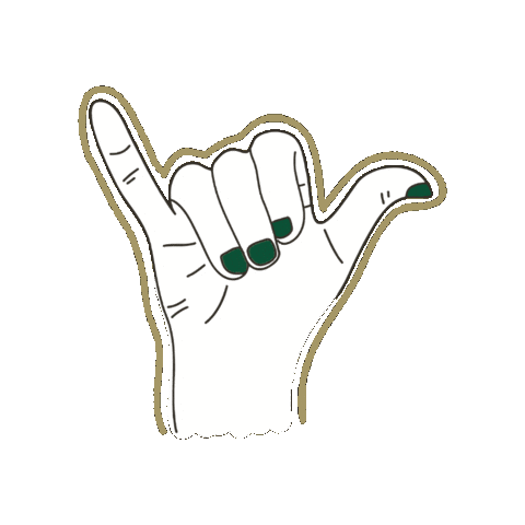 UNC Charlotte Sticker