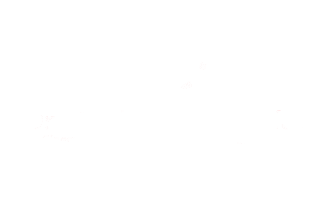 Mama Cancer Sticker by Dra. Paulina Herrera