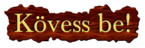 Follow Banner Sticker by Aniori Beauty