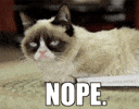 100.gif?cid=20e14a2alae32wfha9pw785zmat1wzxiswphrc5qd3zzzoaa&rid=100.gif