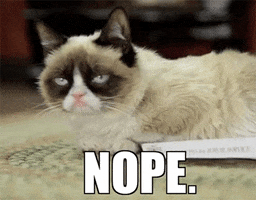 Video gif. Grumpy Cat makes her signature frowning face. Text, "Nope."