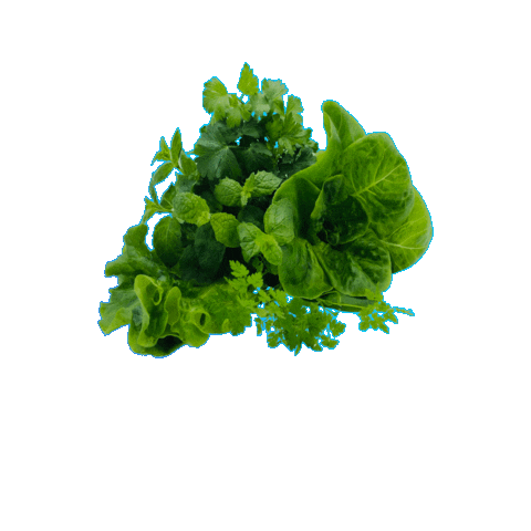 Beleaf_farming Sticker