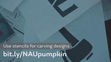 Naupumpkin GIF by NAU Social