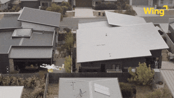 Delivery Drone GIF by Wing