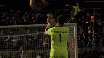 Usl Championship GIF by RhodeIslandFC