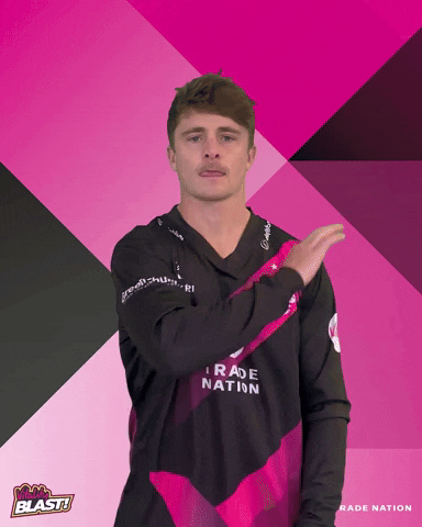 T20 Umpire GIF by Somerset County Cricket Club