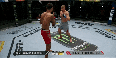Episode 9 Fight GIF by UFC