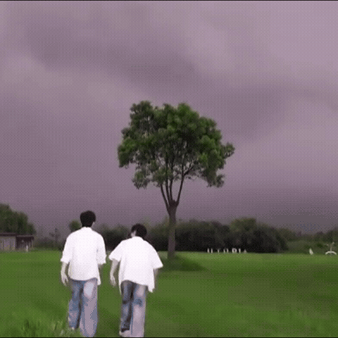 Boylove GIF