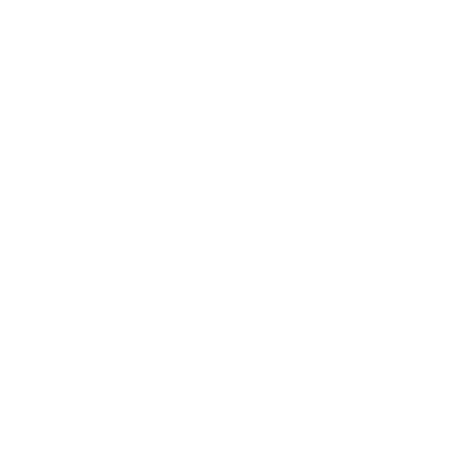 Club Celaya Bulls Sticker