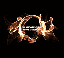 ring of fire after effects GIF by hoppip