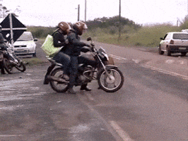 GIF de motos de cabras