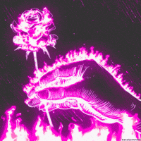 Rose Aesthetic Gifs Get The Best Gif On Giphy Rose Aesthetic Gifs Get The Best Gif On Giphy