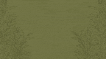 Cafe Oaxaca GIF by MUFI