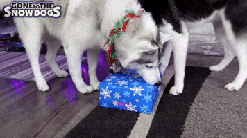 Merry Christmas GIF by Gone to the Snow Dogs
