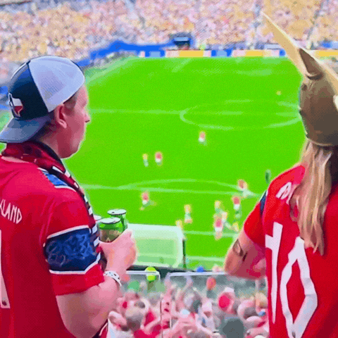 World Cup Football GIF