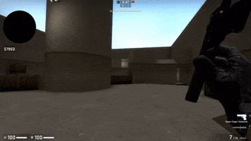 Animated GIF