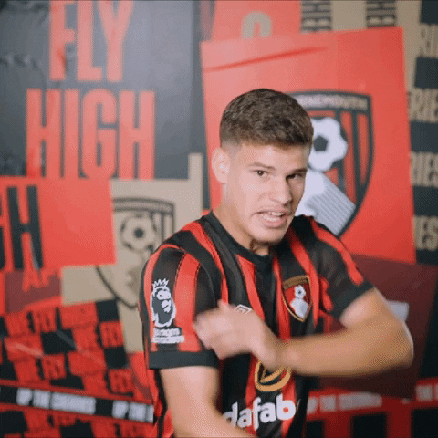 Football Army GIF by AFC Bournemouth
