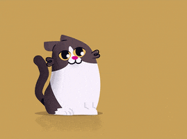 Cat Love GIF by Fran Solo