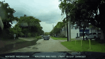 Idiot GIF