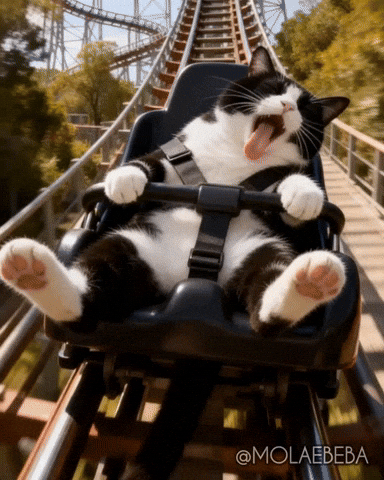 Roller Coaster Smile GIF