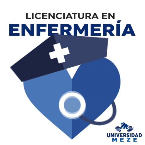 Universidad Meze Sticker