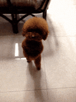 200.gif?cid=f0bdee70oaph9zis16gjft8wrou6u7an0ol10e18t89mnkpf&rid=200.gif&ct=g