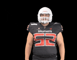 Football Nfl GIF by Les Dauphins de Nice