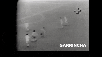Garrincha GIF