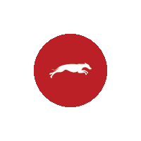 Sticker by Dogfinance