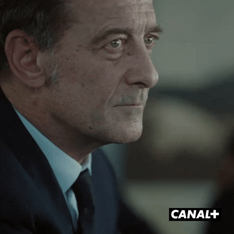 Vincent Lindon What GIF by CANAL+