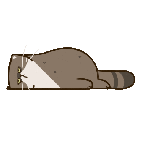 Cat Sticker