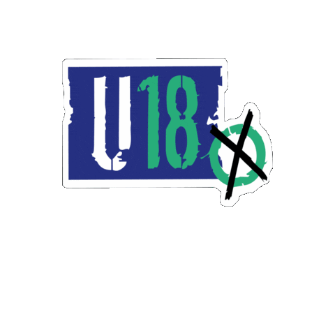 BJR Bayerischer Jugendring Sticker