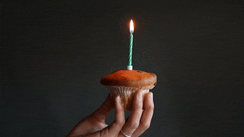Celebrate Happy Birthday GIF by comspace