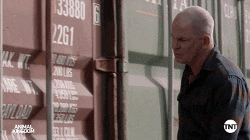 S5 GIF by Animal Kingdom on TNT