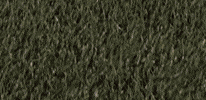Womens Lacrosse GIF by Lafayette Leopards