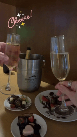 Sparkling Wine Cheers GIF by Crystal Hills Organics