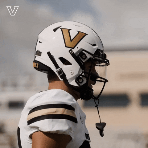 Celebrate College Football GIF by Vanderbilt Athletics