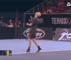Celebration Tennis GIF