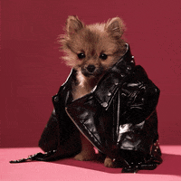 200w.gif?cid=e1bb72ff5b736db56257667636f