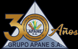 GIF by Grupo Apane