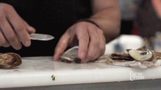 Shucking Red Lobster GIF by CBC - Find & Share on GIPHY