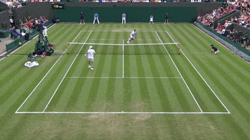 gael monfils reflexes GIF by Wimbledon